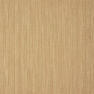 VI1029