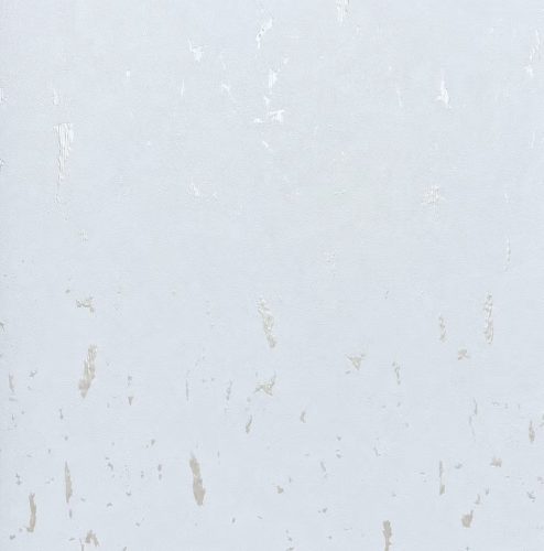 07-MS170206