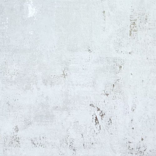 VI1008